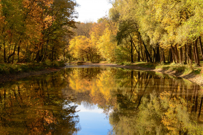 Обои картинки фото природа, реки, озера, лес, река