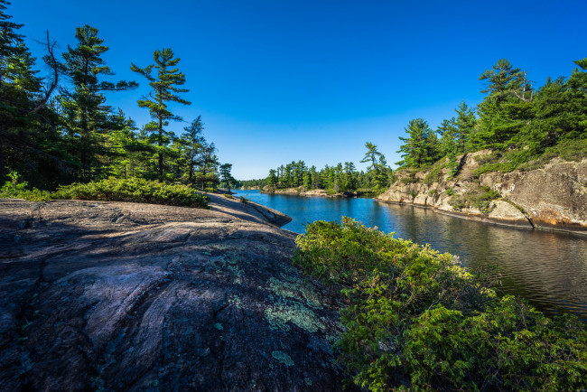 Обои картинки фото природа, реки, озера, река, лес