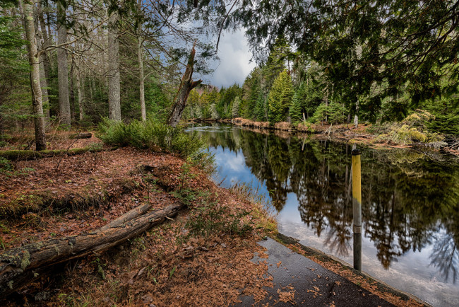 Обои картинки фото природа, реки, озера, река, лес