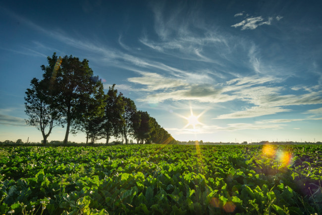 Обои картинки фото природа, восходы, закаты, рассвет