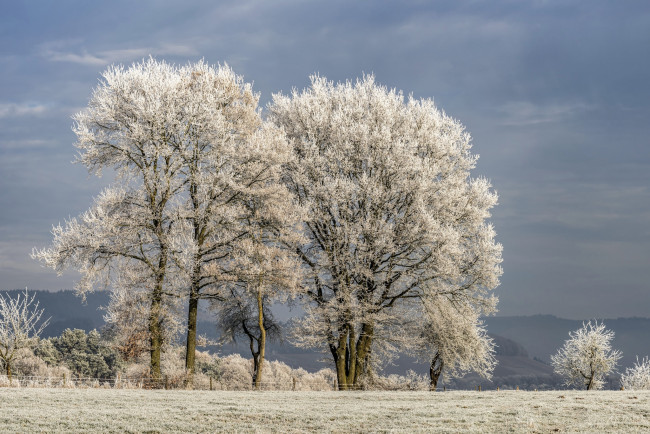 Обои картинки фото природа, зима, снег