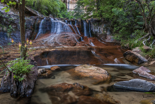 Обои картинки фото природа, водопады, водопад, река, лес