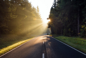 Картинка природа дороги дорога лес утро