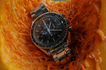 обоя бренды, omega, часы