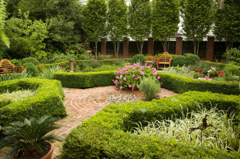 Картинка природа парк клумбы