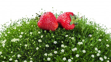 Картинка еда клубника +земляника