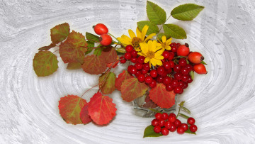 Картинка еда натюрморт листья настроение ромашки шиповник красивые beautiful beauty harmony bouquet nice elegantly wedding delicate букеты bride калина