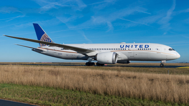 Обои картинки фото dreamliner b787-8, авиация, пассажирские самолёты, авиалайнер