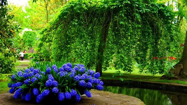 Обои картинки фото природа, парк, клумба, водоем