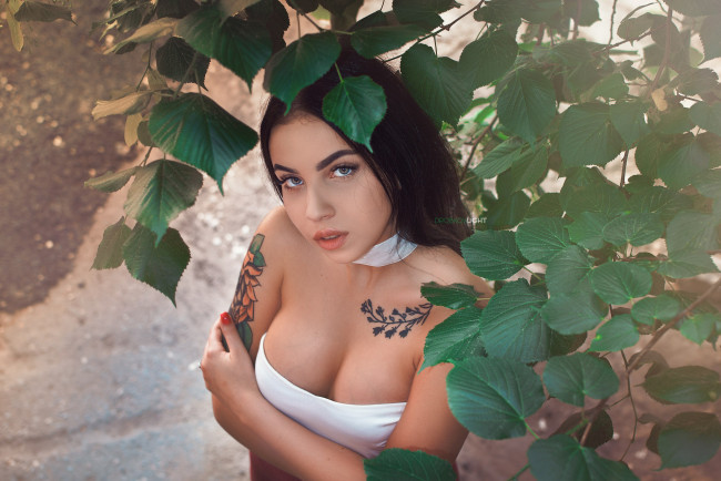 Обои картинки фото девушка, девушки, -unsort , брюнетки, темноволосые, модель, ангелина, сорокина, angelina, sorokina