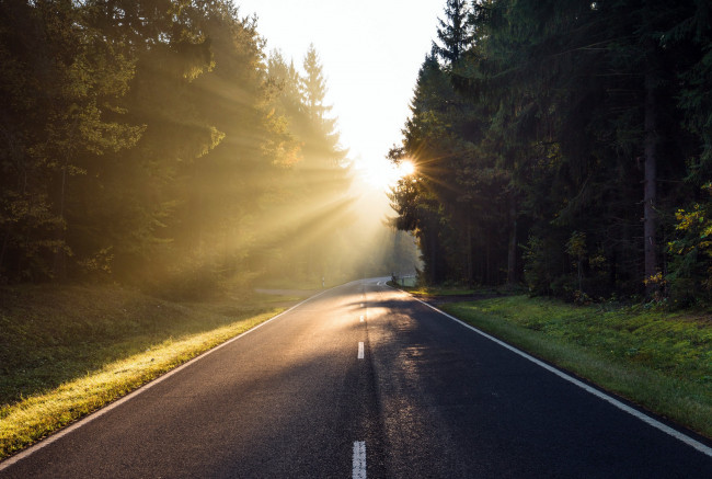 Обои картинки фото природа, дороги, дорога, лес, утро