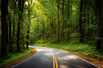 Картинка природа дороги дорога