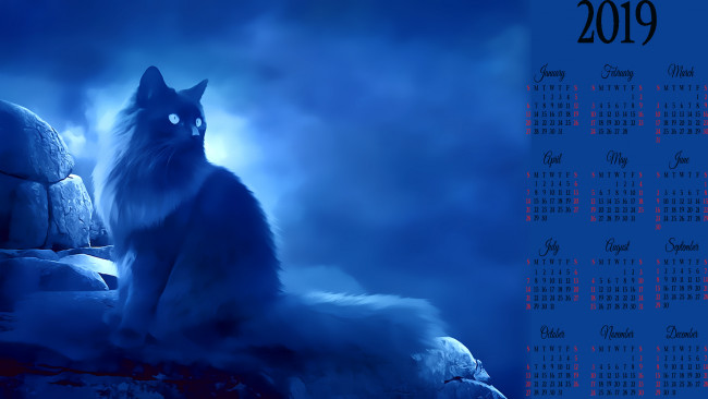 Обои картинки фото календари, рисованные,  векторная графика, кошка, камень, calendar, 2019
