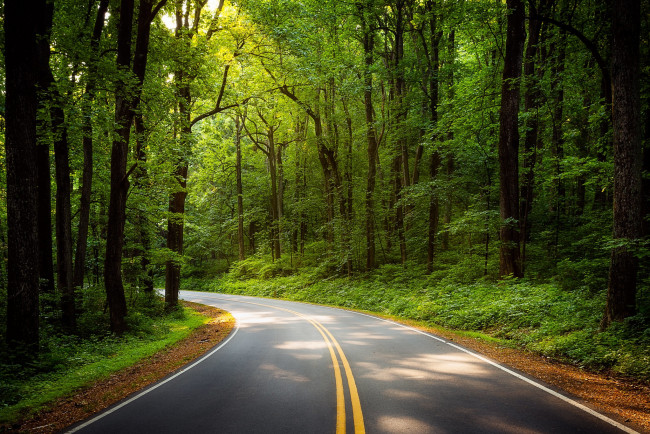 Обои картинки фото природа, дороги, дорога