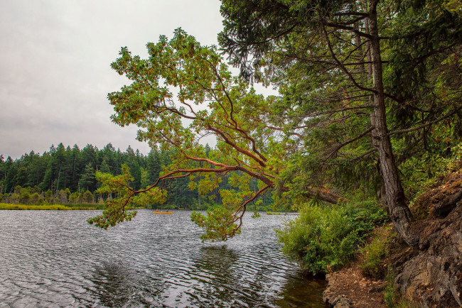 Обои картинки фото природа, реки, озера, простор