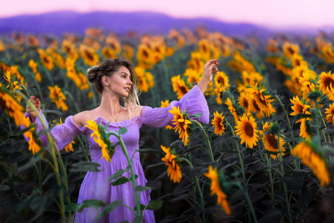 Обои картинки фото девушки, - рыжеволосые и разноцветные, подсолнухи, лиловое, платье