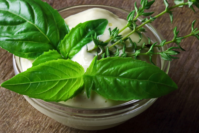 Обои картинки фото еда, разное, соус, майонез, базилик
