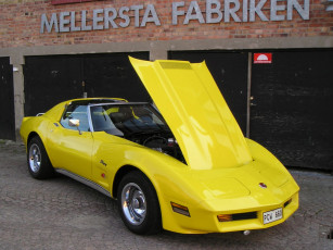 Картинка автомобили выставки уличные фото