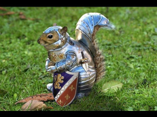 Картинка белка доспехах оружие доспехи