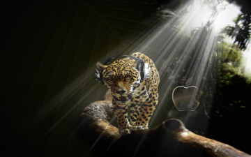 Картинка компьютеры apple