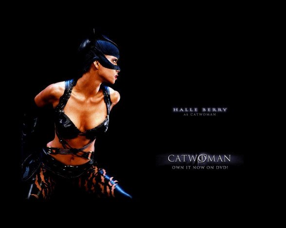 Обои картинки фото кино, фильмы, catwoman