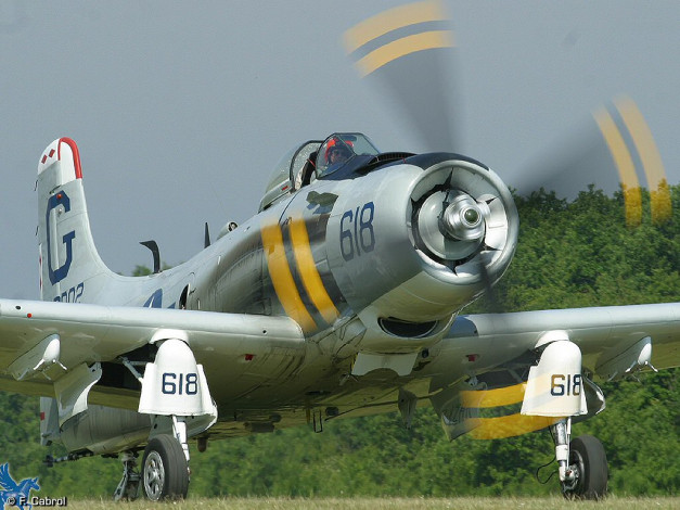 Обои картинки фото авиация, лёгкие, одномоторные, самолёты