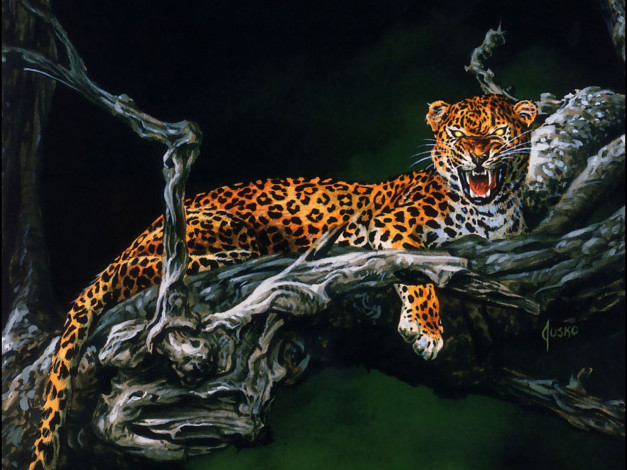 Обои картинки фото рисованные, животные