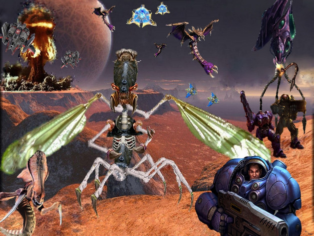 Обои картинки фото видео, игры, starcraft, ii, wings, of, liberty