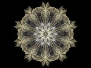 Картинка 3д графика fractal фракталы абстракция