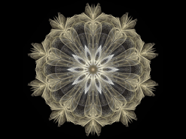 Обои картинки фото 3д, графика, fractal, фракталы, абстракция