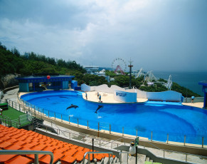 Картинка интерьер бассейны открытые площадки дельфинарий