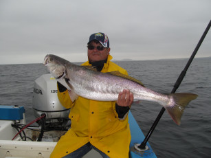 Картинка животные рыбы рыба