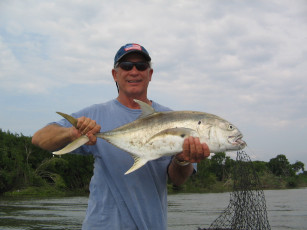 Картинка животные рыбы рыба