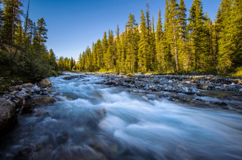 Картинка природа реки озера лес река пороги стремнина