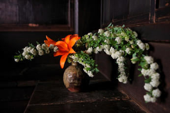 Картинка цветы разные+вместе букет