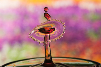 Картинка разное капли +брызги +всплески капля макро вода