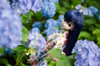 Картинка разное игрушки игрушка цветы кукла