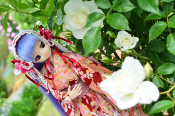 Картинка разное игрушки игрушка цветы кукла