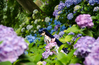 обоя разное, игрушки, игрушка, кукла, цветы