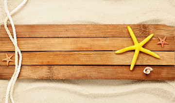 Картинка разное ракушки +кораллы +декоративные+и+spa-камни морские звезды веревка доска песок