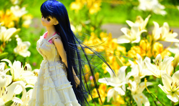 Картинка разное игрушки игрушка кукла цветы