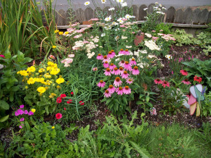 Картинка цветы разные+вместе цветник