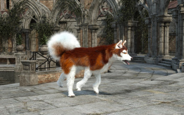 Картинка 3д+графика животные+ animals фон взгляд собака