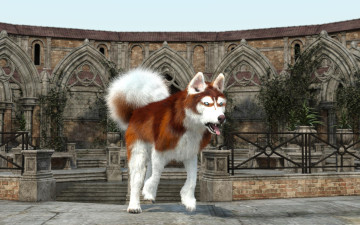 Картинка 3д+графика животные+ animals фон взгляд собака