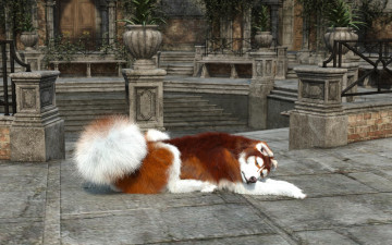 Картинка 3д+графика животные+ animals фон взгляд собака