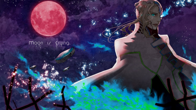 Обои картинки фото аниме, tiger and bunny, лунатик