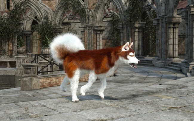 Обои картинки фото 3д графика, животные , animals, фон, взгляд, собака