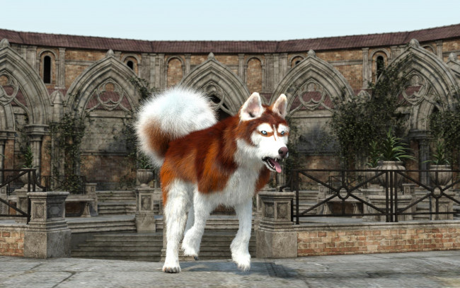 Обои картинки фото 3д графика, животные , animals, фон, взгляд, собака