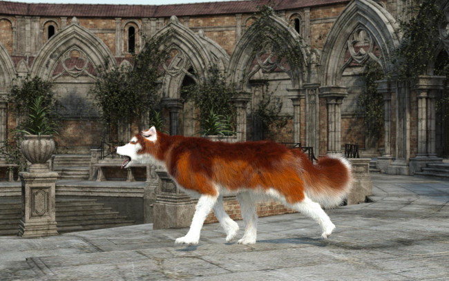 Обои картинки фото 3д графика, животные , animals, фон, взгляд, собака