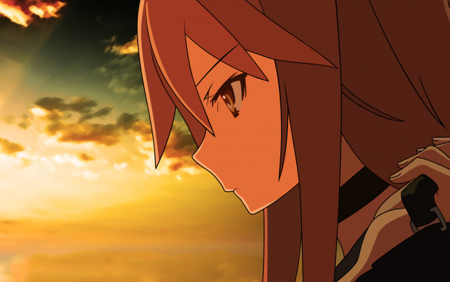 Обои картинки фото аниме, ookami-san to shichinin no nakama-tachi, девушка, взгляд, фон